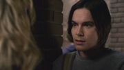 PLL224-00722.jpg