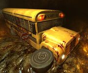 School-bus