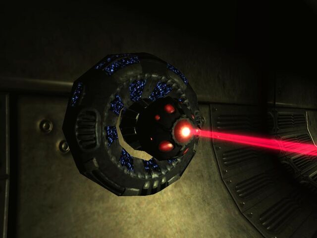 File:Eye-stalks.jpg