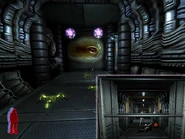 43cuksx.jpg (43 KB) 43cuksx