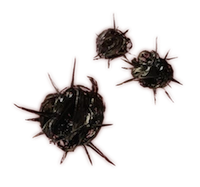 0358.Prey Cystoid Dec16.png-610x0