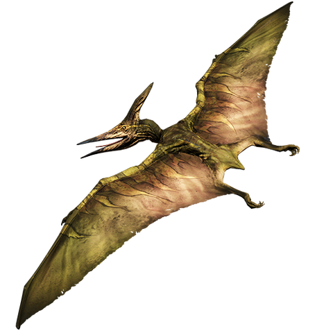 Plik:Ptera.png