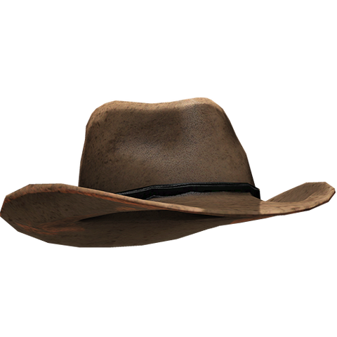 Plik:Cowboy Hat.png