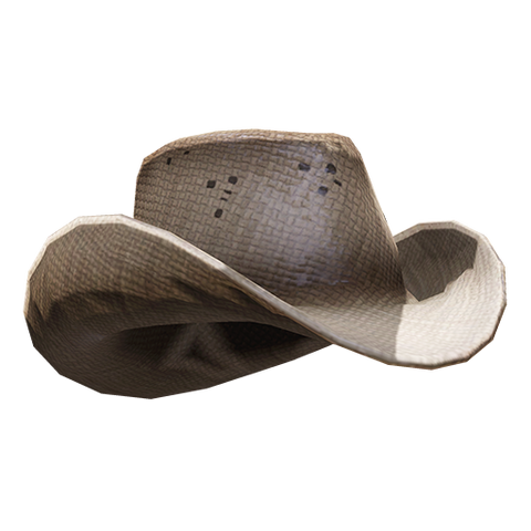 Plik:Scientist Hat.png