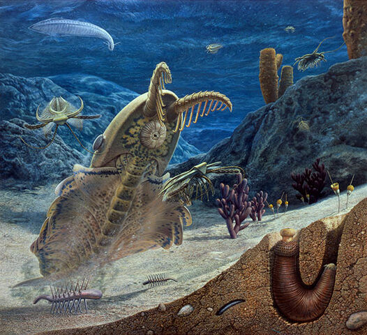 File:Il Mare Della Florida.jpg