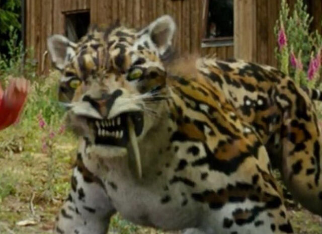 File:SabreTooth-PLIT.jpg