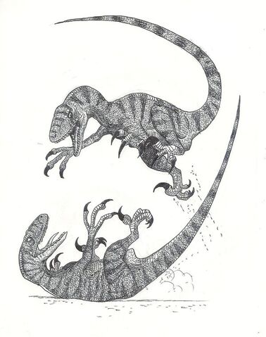 File:Combattimento Tra Raptor.jpg