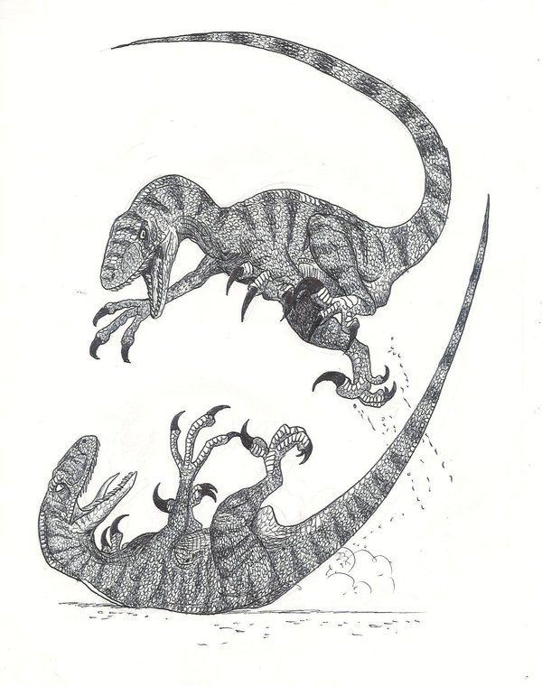 Combattimento Tra Raptor