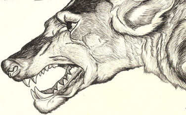 Beast(france)