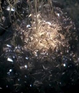 Sewer-PredatorPeriodAnomaly