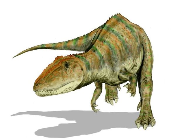 File:731px-Carcharodontosaurus BW.jpg