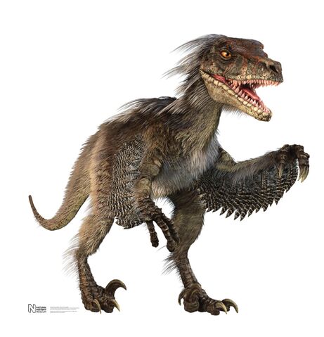 File:VelociraptorPR.jpg