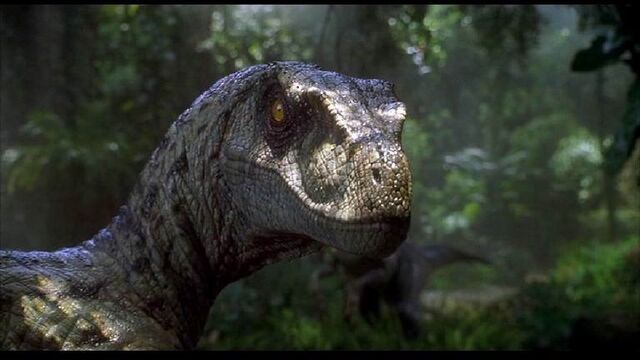 File:Crasraptor Femmina.jpg