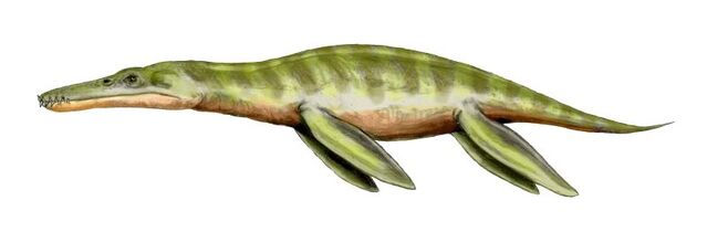 File:Liopleurodon BW-1-.jpg