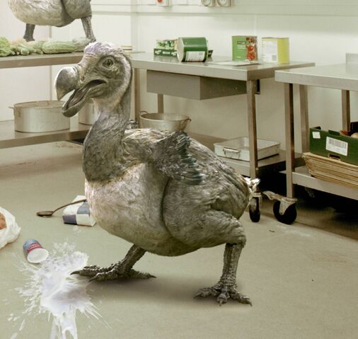 File:Dodo.jpg