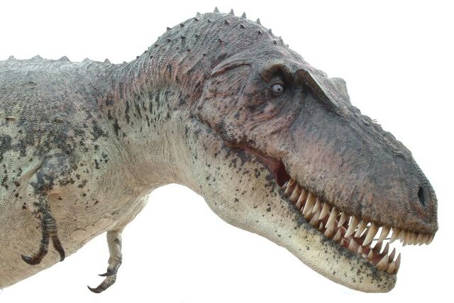 File:Daspletosaurus025.jpg