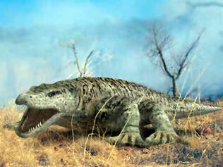Megalania prisca