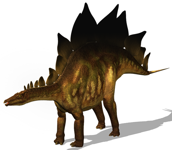 Stegosaurus