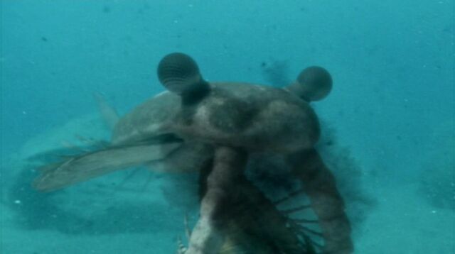 File:814px-Anomalocaris eating trilobite.jpg