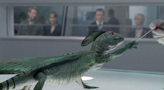 File:Rex testing-1-.jpg