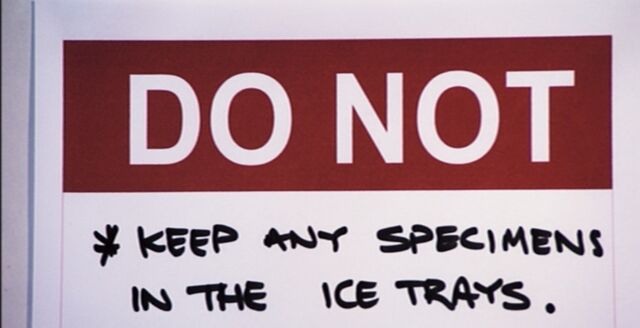 File:Do not 2.jpg