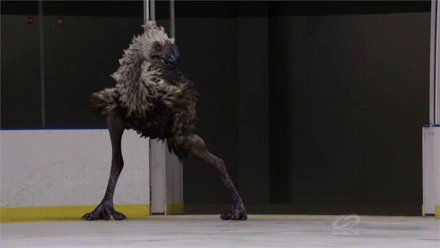 File:LeggyOnIceRink.jpg