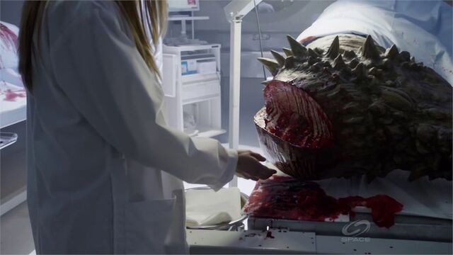 File:InquisitionDeadPachycephalosaurus.jpg