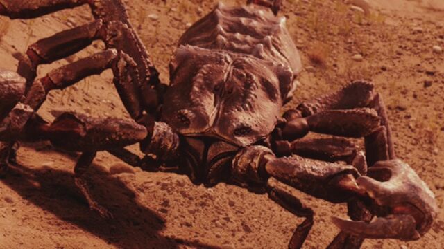 File:BrontoscorpioFace.jpg