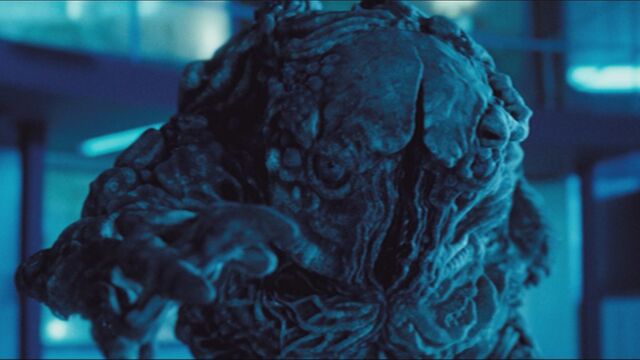 File:3x5creature2.jpg