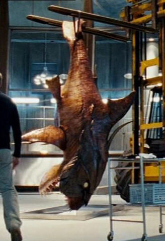 File:2x4futureShark.jpg