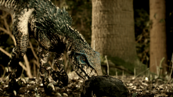 4x1 RaptorInvestigatesAbby'sBag