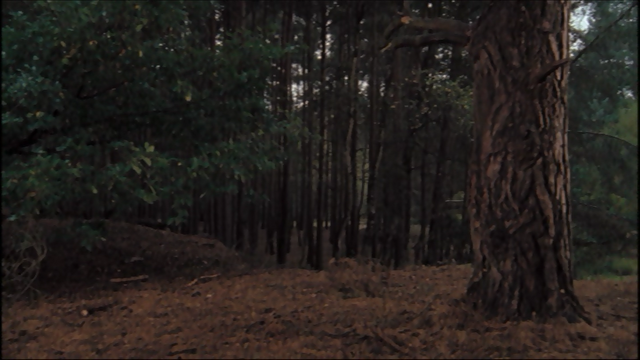 File:3x10cretaceousForest.png