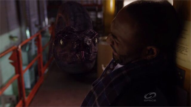 File:HarlowWatchedByTitanoboa.jpg