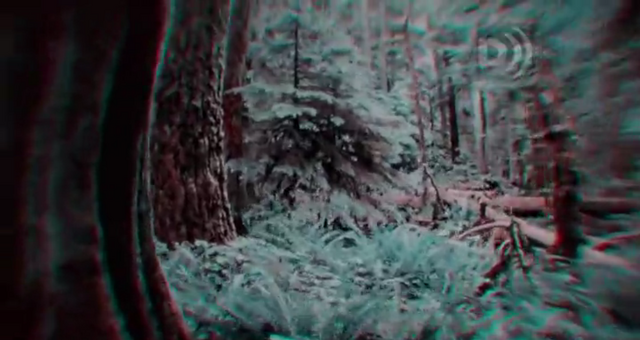 File:Plio-PleistoceneForest.png