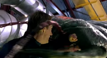 Arthropleura-Bite