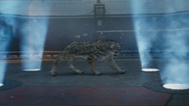 File:2x7smilodonInDinnerTheatre.jpg