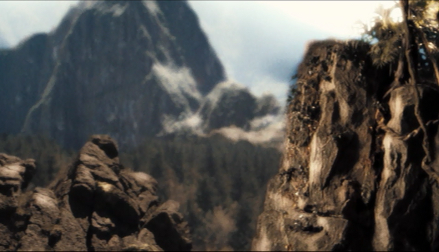 File:3x5futureRainforest.png