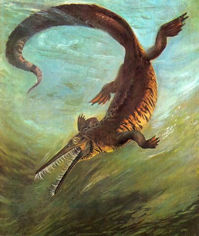 File:Mesosaurus1.jpg