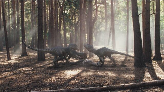 File:3x10raptors1.jpg