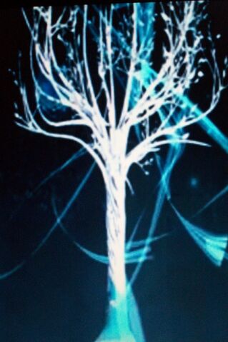 File:Light Tree.jpg