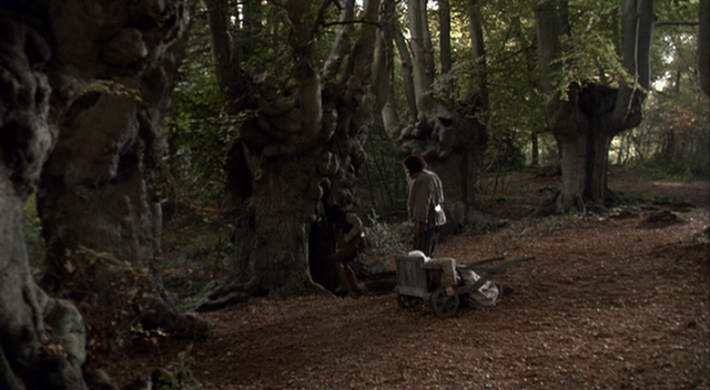 File:Pit of Despair-secret entrance.png