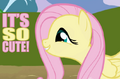 Thumbnail for version as of 12:53, December 29, 2011