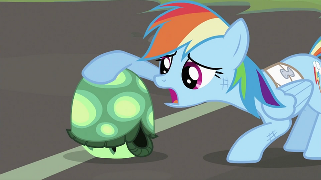 File:Rainbow Dash petting Tank S2E07.png