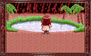 Oasis