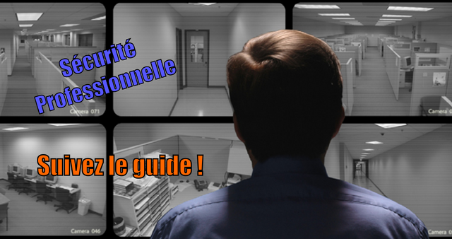 Fichier:PrisonArchitectGuideSécuritéProfessionnelle.png