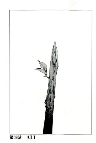 File:Chapter 38.jpg