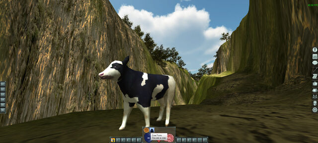 File:Cow.jpg