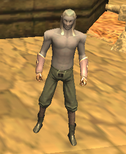 Tadion