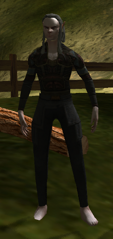 File:Echur.png