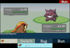 Mega-Pidgeot